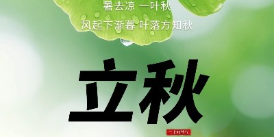 立秋 | 夏色渐敛 静候秋凉之时 ！