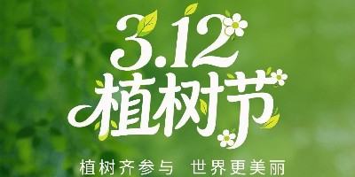 植树节 | 向上而生，时光终显美好！